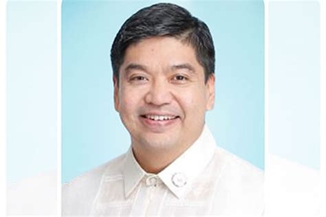 nyang villafuerte|Villafuerte proposes ‘bullet’ train to connect MM to Bicol.